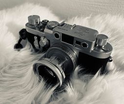 Leica IIIg 1956